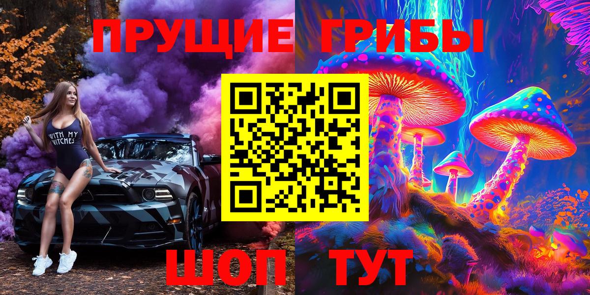 Псилоцибиновые грибы Psilocybe Магадан