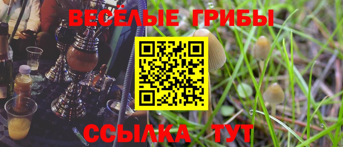 Магадан  Галлюциногенные грибы прущие грибы  Вход с VPN 
